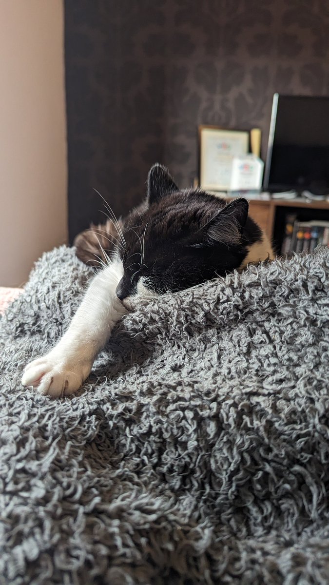 Jaime ✨ tweet media