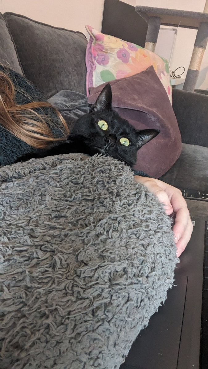 Jaime ✨ tweet media