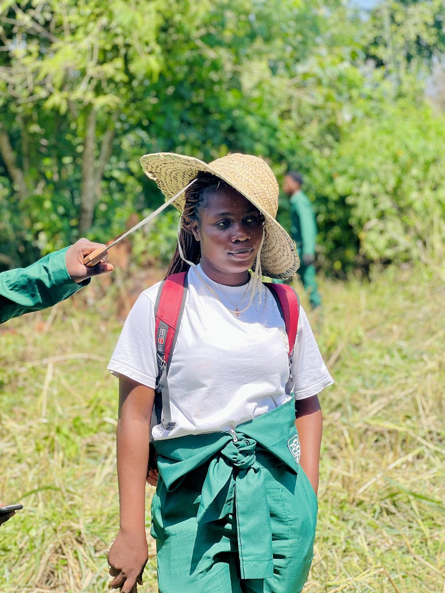 adetowealth1404's tweet photo. Once upon a farmer 👨‍🌾
Diary of a farmer and her farm 👩‍🌾💚

📸 @alabi_brand shot it

#D’Farmers
#fpy
#Farmpracticeyear 
#funaabtwitter https://t.co/V4qcRHaa3x