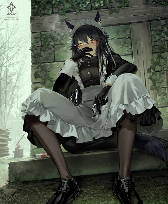 Maid series compilation(1/2)#LapplandACHV #TexasACHV #TeamACHV 