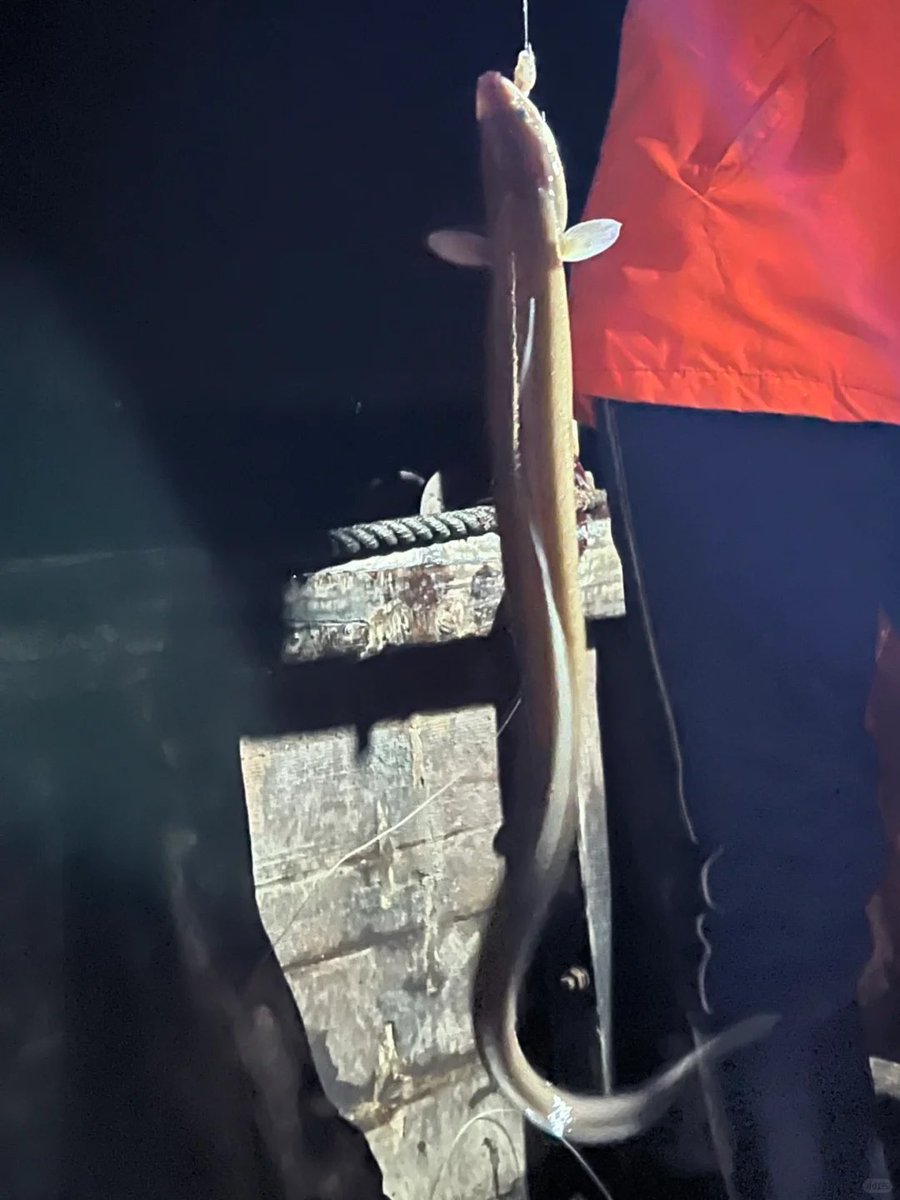 海での夜釣りは本当に違う体験ができます