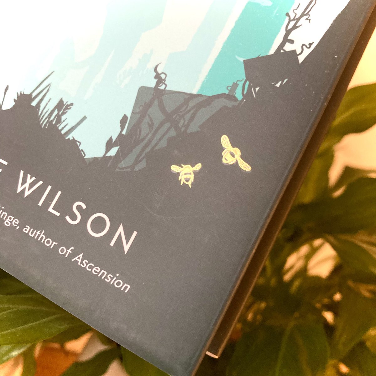 Dr Lorraine Wilson (mostly on Bluesky) tweet media