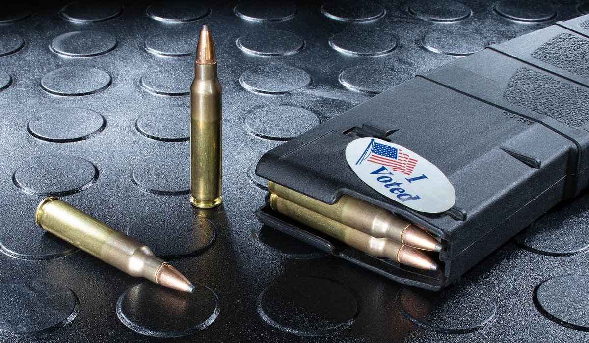 FearAndLoading's tweet image. #FearAndLoading #Vote #guns