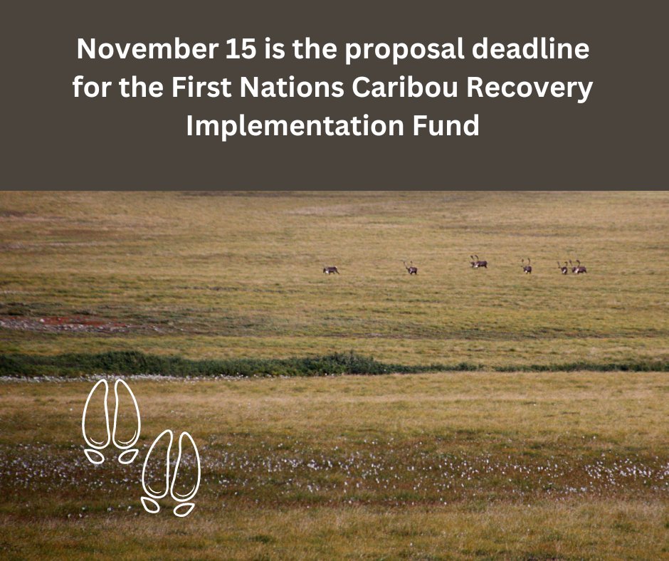 Fraser Basin Council (@fraserbasin) on Twitter photo November 15 is the proposal deadline for the First Nations Caribou Recovery Implementation Fund’s fall intake. Contact Fraser Basin Council if you have any questions: E: caribou@fraserbasin.ca. For more information visit bit.ly/4984JYb. November 15 is the proposal deadline for the First Nations Caribou Recovery Implementation Fund’s fall intake. Contact Fraser Basin Council if you have any questions: E: caribou@fraserbasin.ca. For more information visit bit.ly/4984JYb.