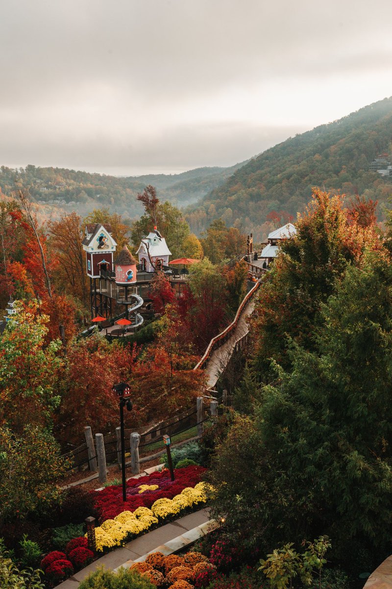 Fall in the Smokies | anakeesta.com/blog/discoveri…