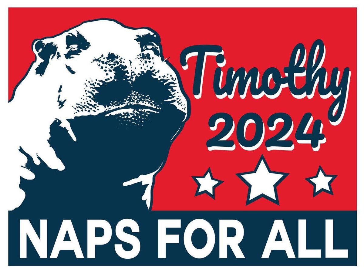 Timothy The Hippo 🦛 tweet media
