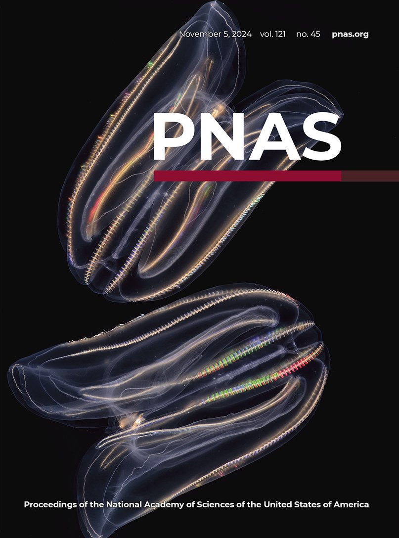 Pawel Burkhardt (@pawel_burkhardt) on Twitter photo Thrilled to see our latest work on ctenophore reverse development featured on the cover of <a href="/PNASNews/">PNASNews</a> 🤩 Work supported by <a href="/MSarsCentre/">Michael Sars Centre</a>, <a href="/UiB/">Universitetet i Bergen</a>, <a href="/ERC_Research/">European Research Council (ERC)</a> #ctenophores #evolution #rejuvenation👏👏👏<a href="/JoanJSoto/">Joan J. Soto-Angel</a> & stunning📸from <a href="/Alexandre4_Jan/">Alexandre Jan</a>
pnas.org/doi/10.1073/pn… Thrilled to see our latest work on ctenophore reverse development featured on the cover of <a href="/PNASNews/">PNASNews</a> 🤩 Work supported by <a href="/MSarsCentre/">Michael Sars Centre</a>, <a href="/UiB/">Universitetet i Bergen</a>, <a href="/ERC_Research/">European Research Council (ERC)</a> #ctenophores #evolution #rejuvenation👏👏👏<a href="/JoanJSoto/">Joan J. Soto-Angel</a> & stunning📸from <a href="/Alexandre4_Jan/">Alexandre Jan</a>
pnas.org/doi/10.1073/pn…