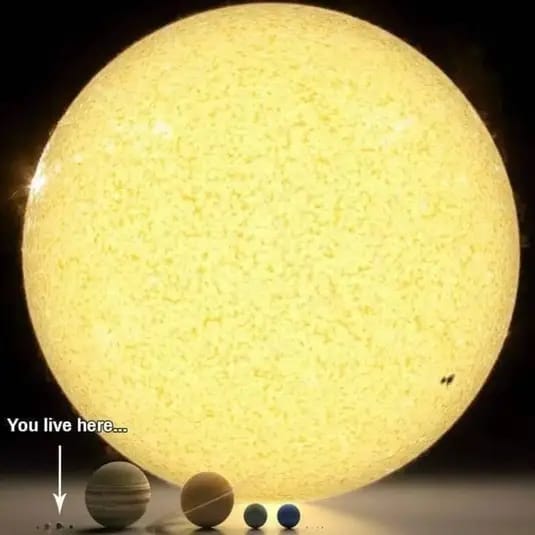 Así de pequeños somos frente al sistema solar 🤪🌞