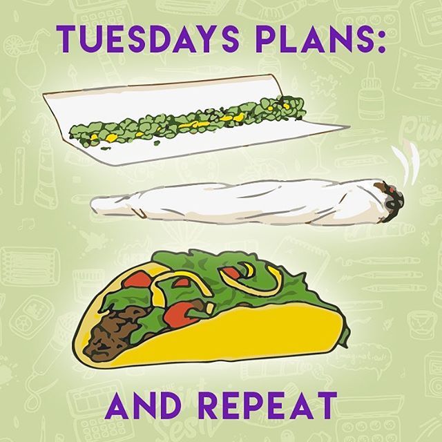 GlasssStation's tweet photo. Sounds about right! 🌮💚💨💨💨
#tacos #TacoTuesday #cannabiscommunity #stonerfam #joints #smokeweed #rolloneup https://t.co/5alyGsfYcp