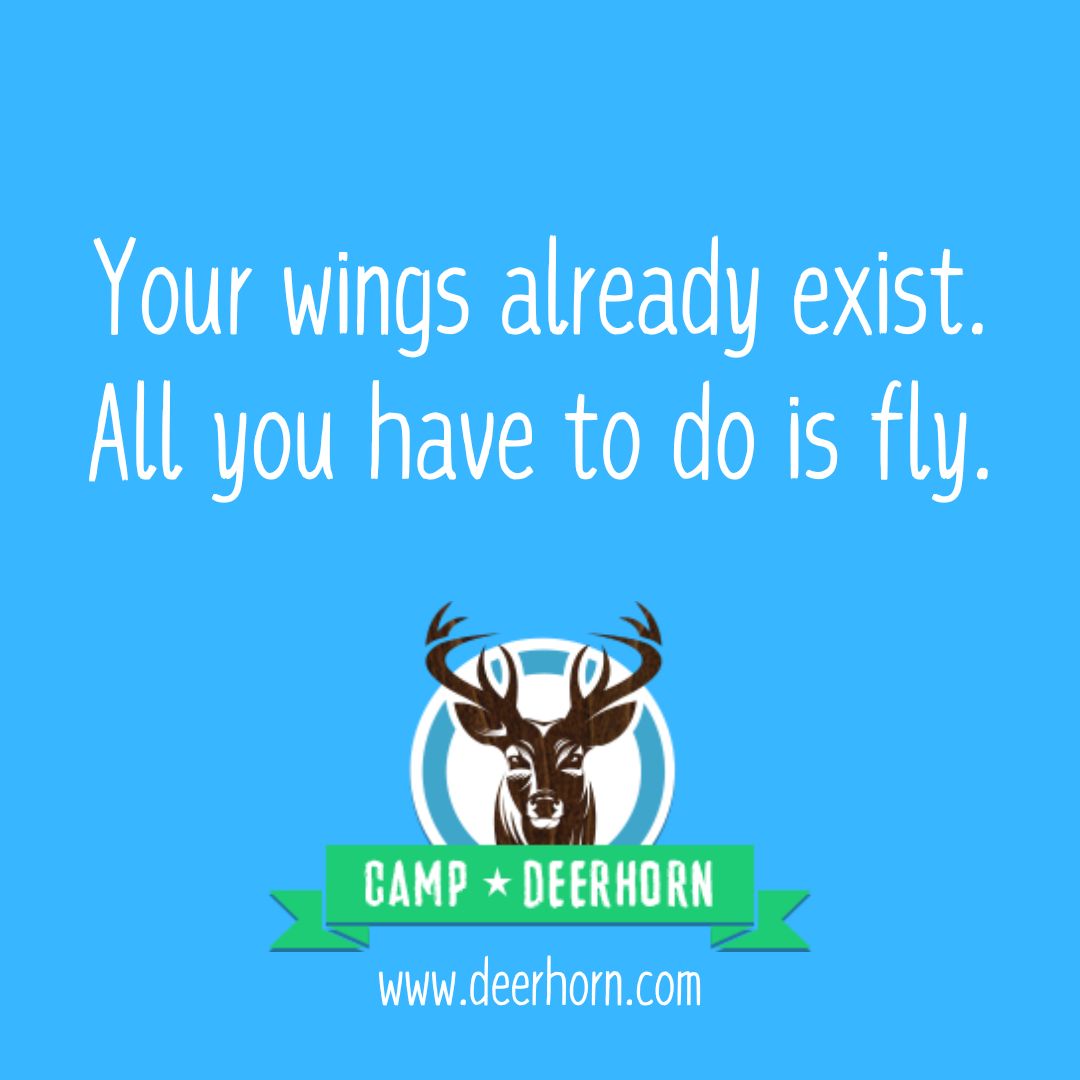 Camp Deerhorn (@campdeerhorn) on Twitter photo 