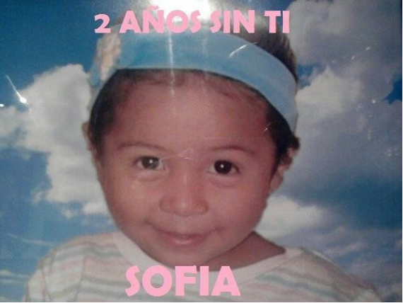 Daniel Gershenson tweet media