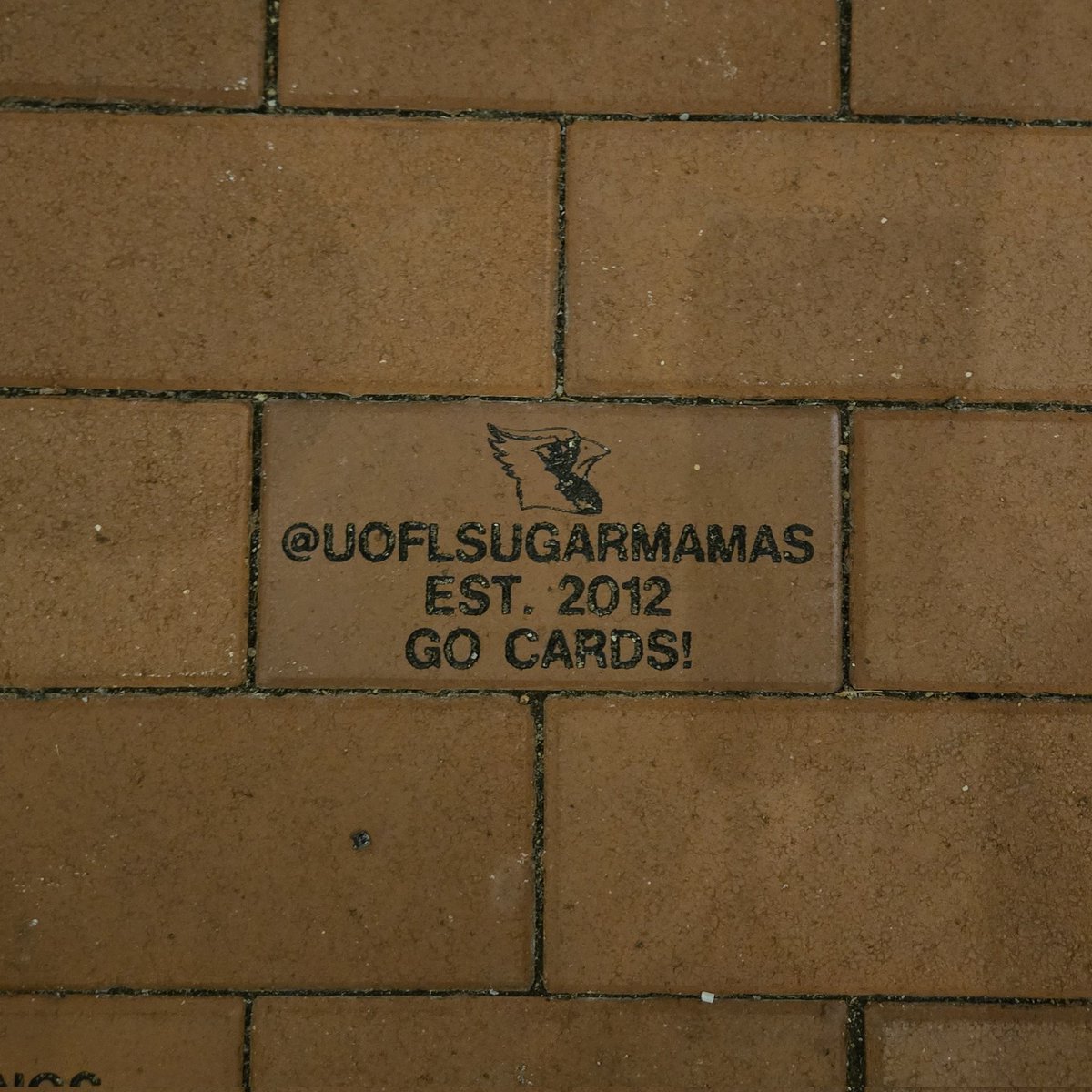 Spotted our brick last night at Colonial Gardens 🧱