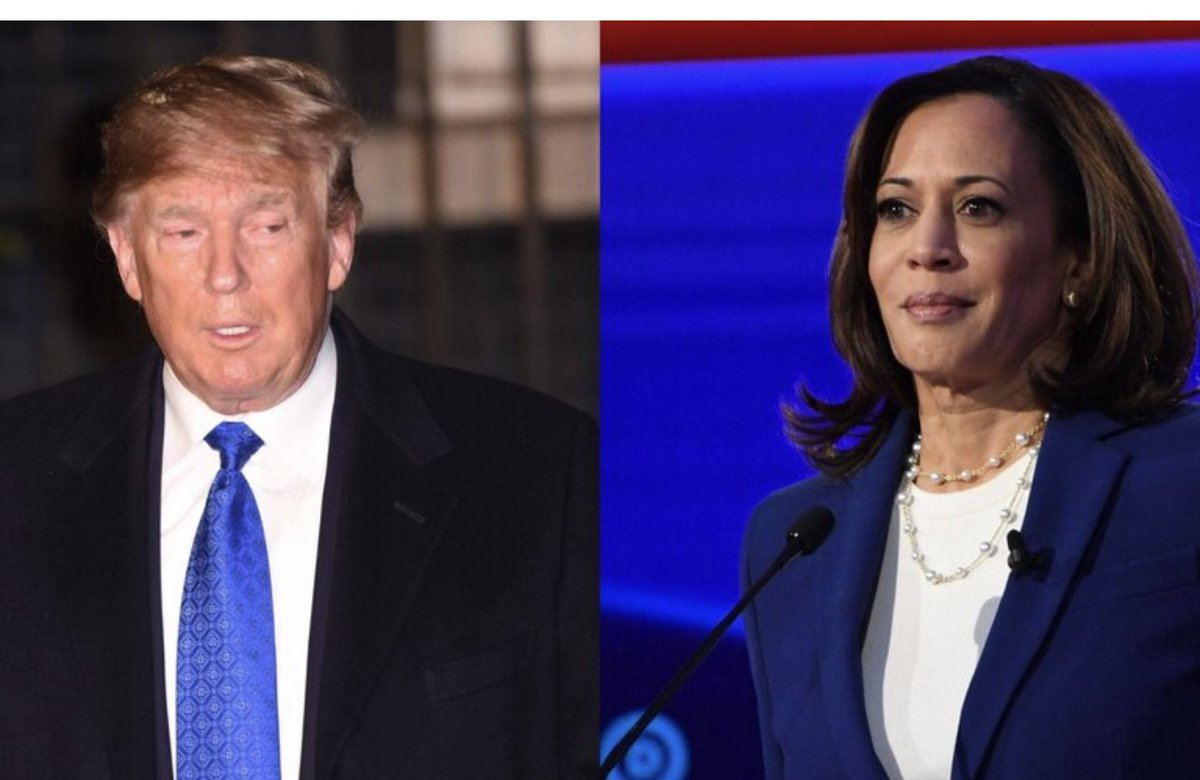 Afida Turner ⚡️ tweet media