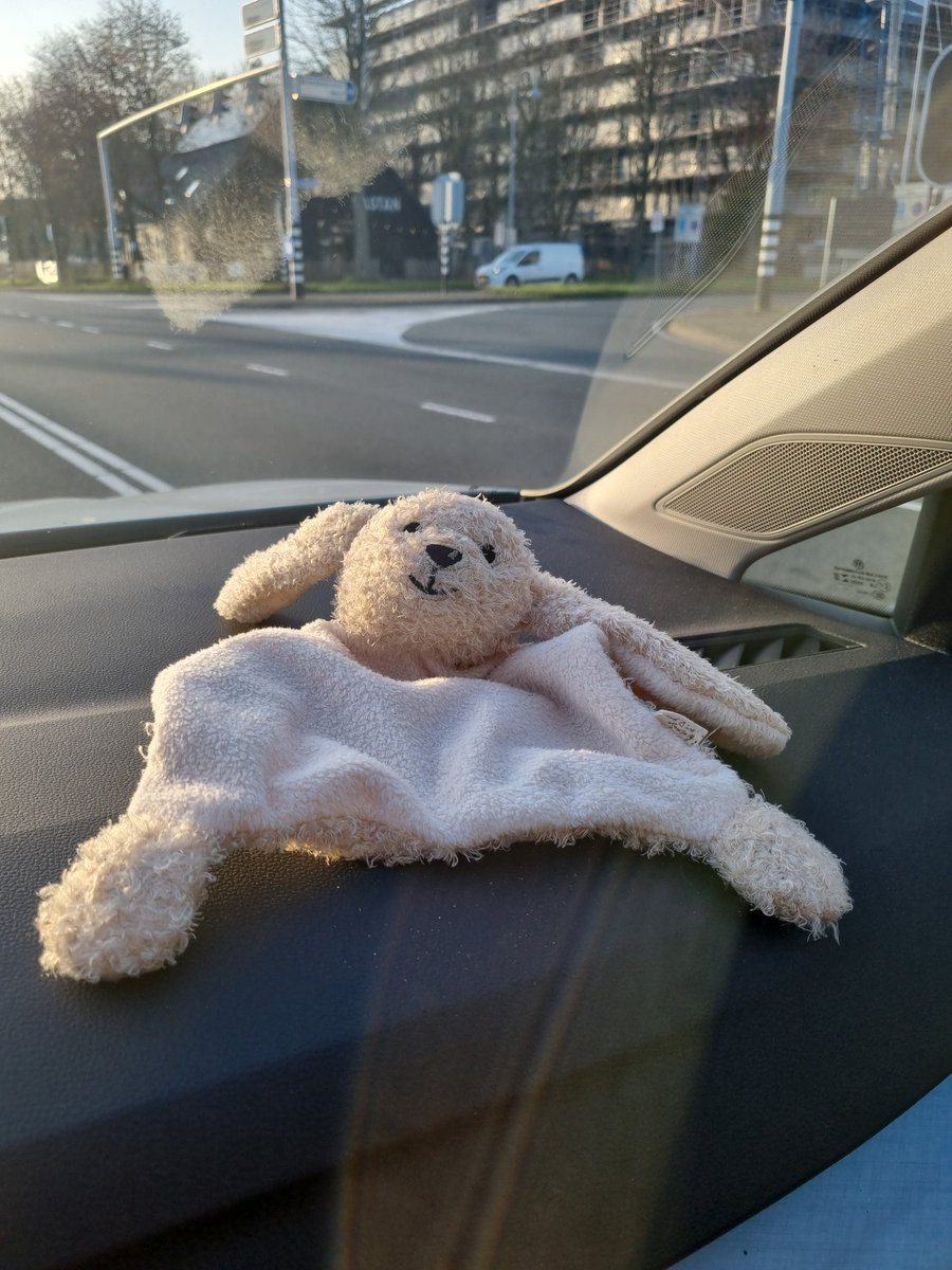 WA__C_Hoofddorp's tweet photo. Zojuist op de tuinweg gevonden in Hoofddorp,  dit konijntje wil graag terug naar zijn baasje. Wij houden hem warm op het bureau in Hoofddorp!
#gevonden #konijn #politiehaarlemmermeer https://t.co/YGvLp48Dva