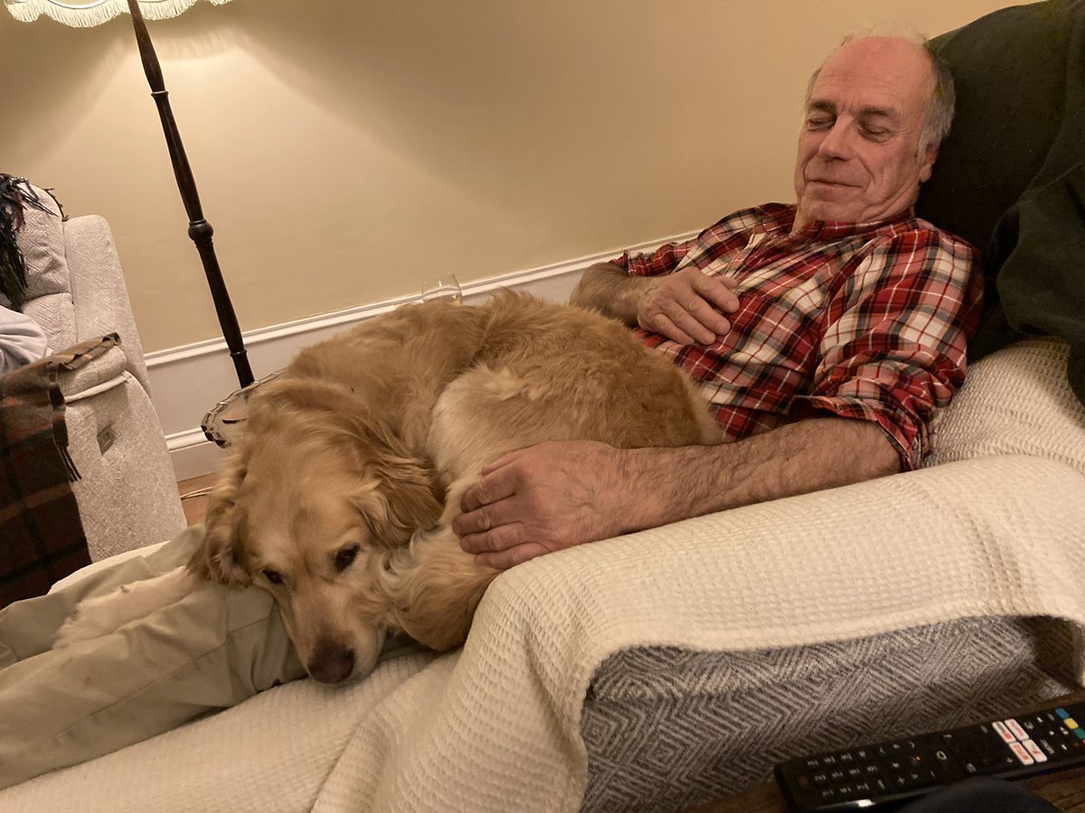 It’s been a few months now since Jonti died, we were over the moon to have a friend and her 2 Goldens to stay for the weekend. When taken into sitting room, they made straight to the spot where Jonti’s bed used to be, even though they had never met her 😭