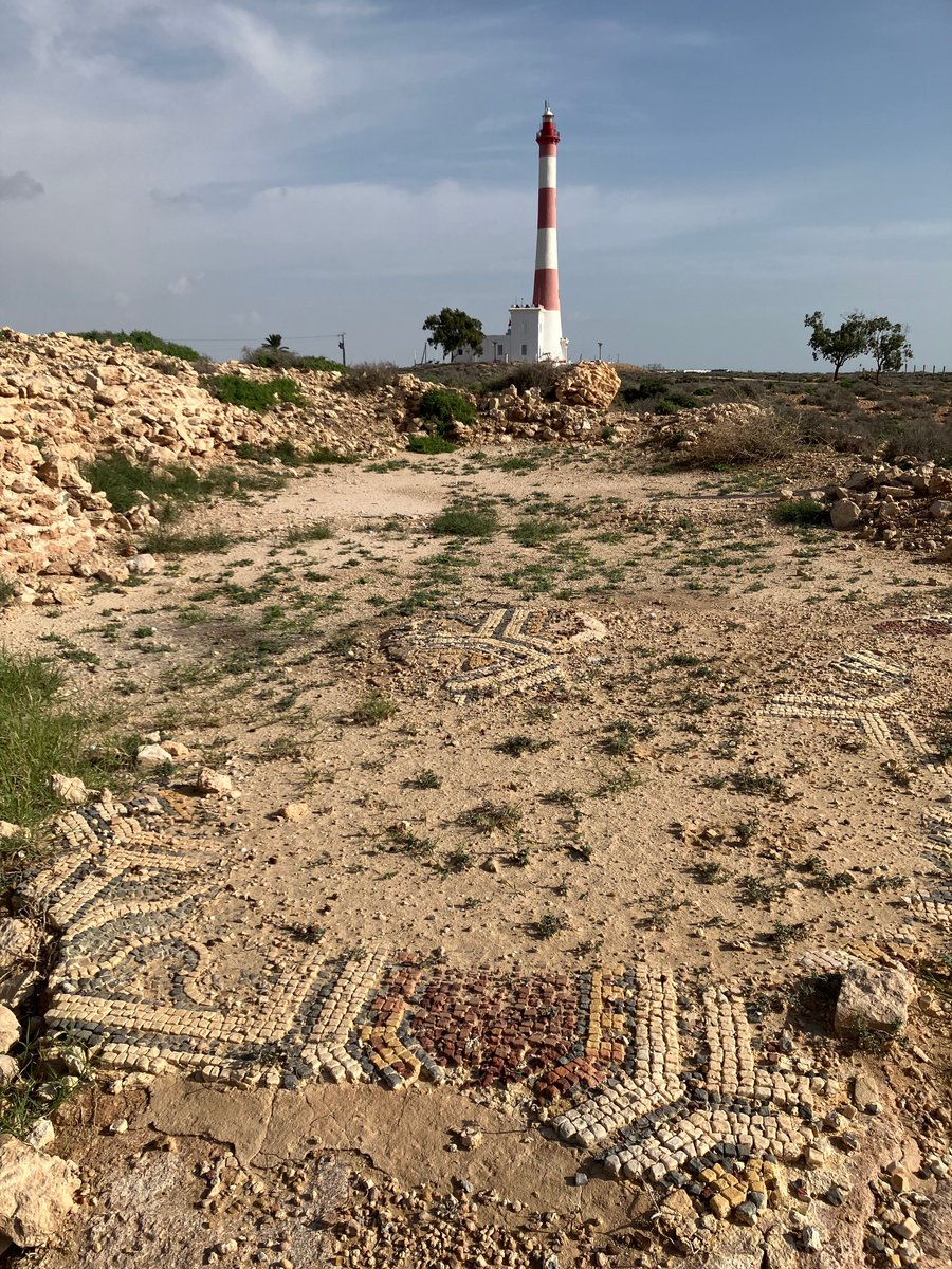 Mon bureau depuis 10 jours (que je quitte ce soir avec grand regret). Antique ville de Thaenae, près de Sfax en Tunisie.