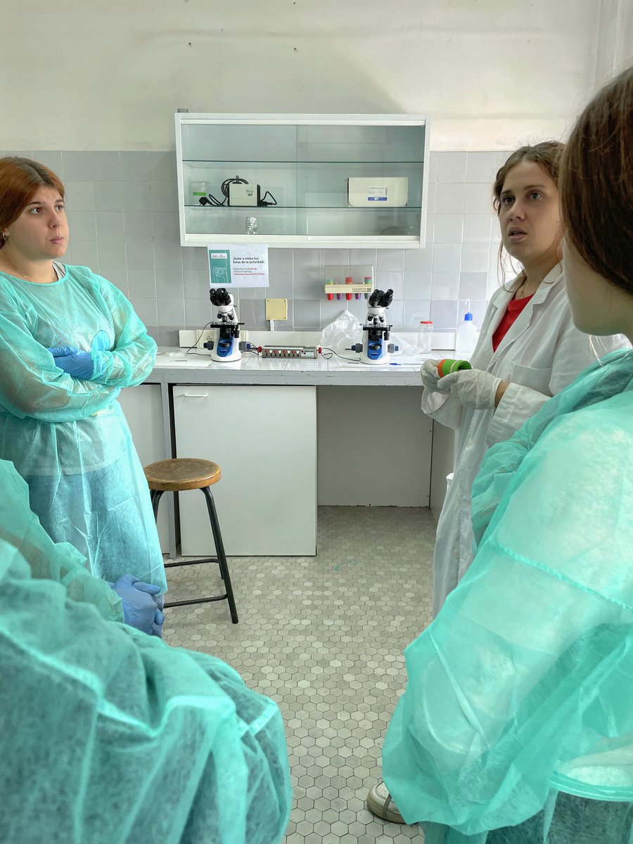 UdcVet's tweet photo. 📢 Hoy se ha realizado, en @veterinariaucm, la actividad "Ven a manipular gametos y embriones". Los participantes han aprendido mucho de gametos y embriones, así como de técnicas de reproducción asistida para la mejora de fertilidad, producción animal, etc.
#SemanaCienciaVetUCM24 https://t.co/JvaVwKy2sD