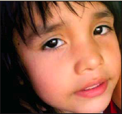 Daniel Gershenson tweet media