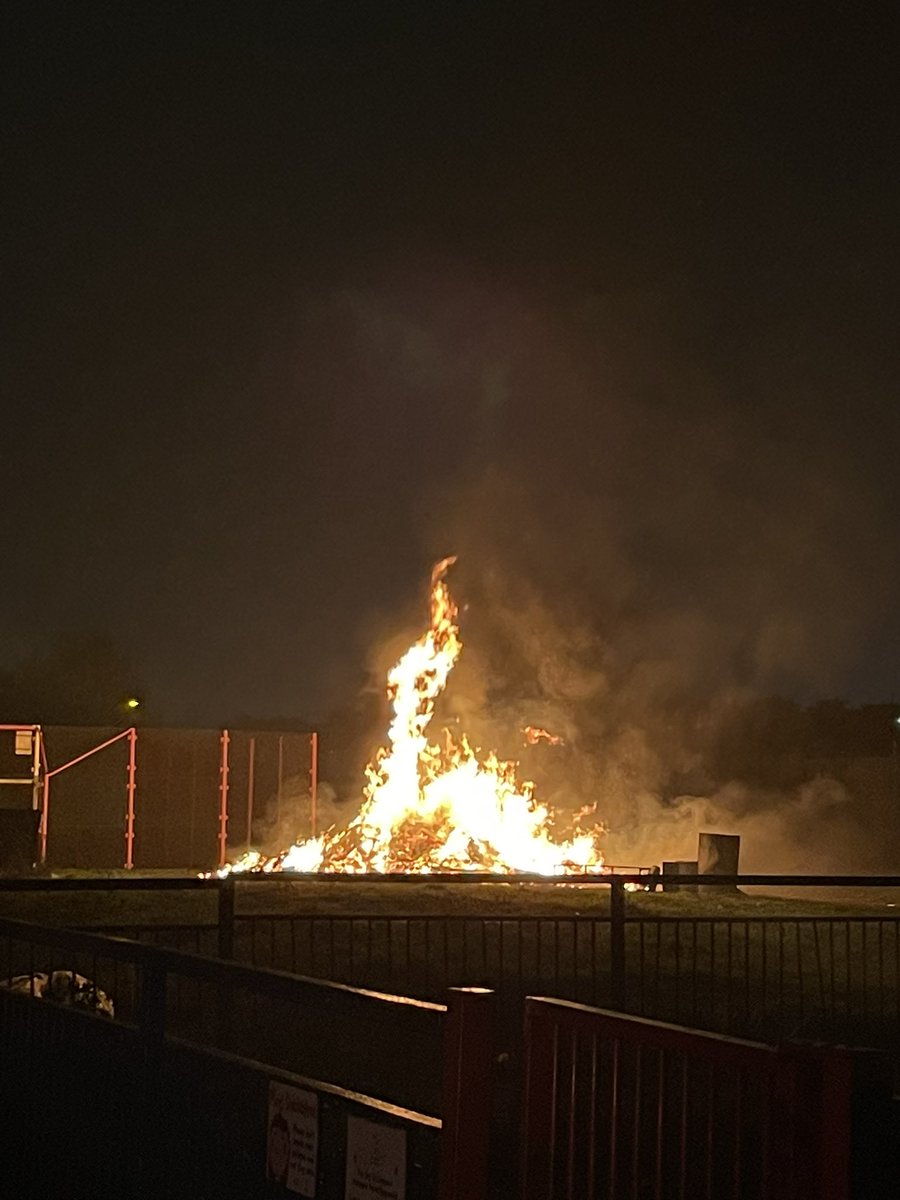 🇵🇸 tweet media