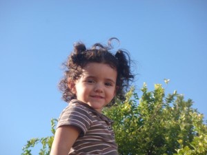 Daniel Gershenson tweet media