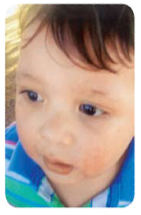 Daniel Gershenson tweet media