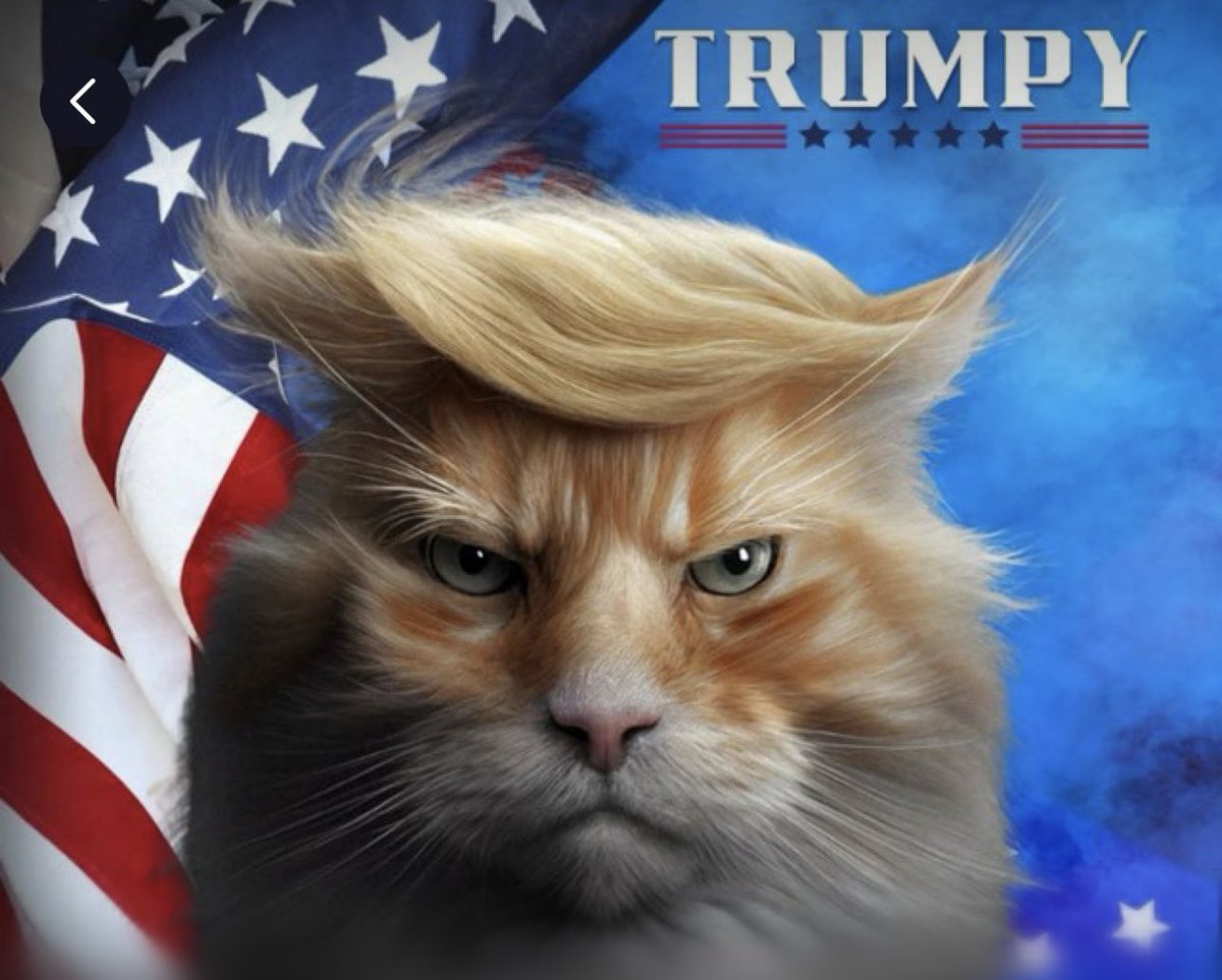 TrumpyArmyy's tweet photo. @3orovik Don’t miss out on the $PRESIDENT #PRESIDENT 🐈

The official Cat of Trump

Fully community driven project with the aim of reaching the millions and becoming the top political cat coin on $SOL 🐈

CA: 8Joy3sG15H51hjGjwPUAByJoXsASKgVmUrKHBKzU2Bi https://t.co/S8RiyX5FEI