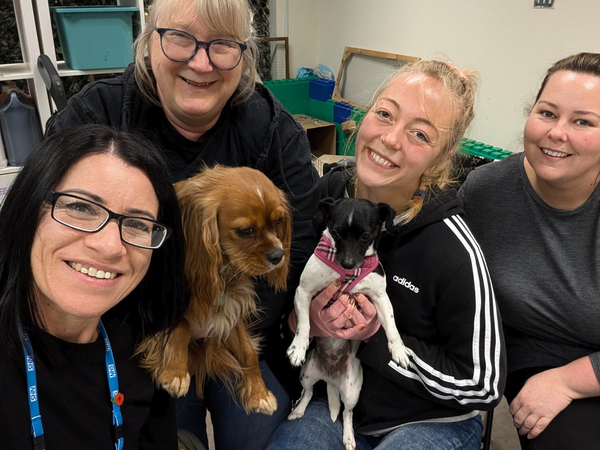 Lynne Turton tweet media