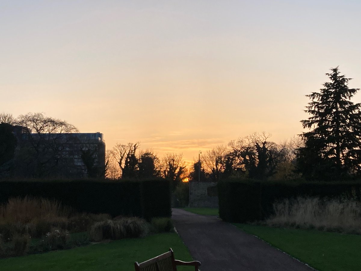 Afternoon walk #SaughtonPark