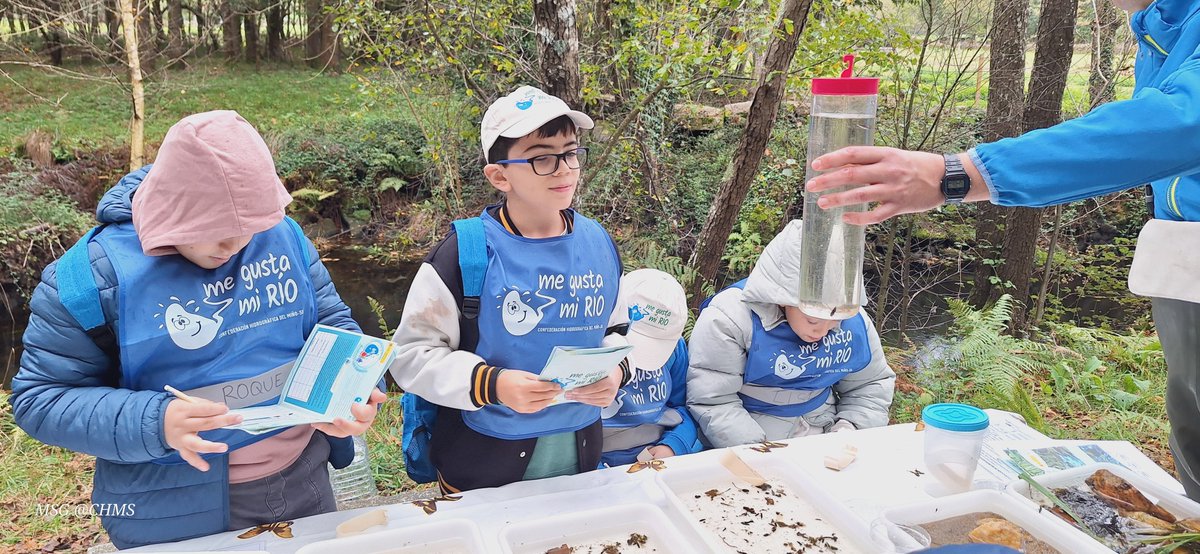 CHMS (@ch_ms) on Twitter photo 👥El proyecto de #educaciónambiental <a href="/Megustamirio/">EDUCACIÓN AMBIENTAL CHMS</a> inicia las actividades de investigación en los cauces, ayer estuvimos en el 📍río Lonia con el alumnado y profesorado del 🧑🎓CEIP Ben-Cho-Shey📍Pereiro de Aguiar (Ourense)
Ganas de aprender, ilusión, curiosidad🫴...
#sonfuturo 👥El proyecto de #educaciónambiental <a href="/Megustamirio/">EDUCACIÓN AMBIENTAL CHMS</a> inicia las actividades de investigación en los cauces, ayer estuvimos en el 📍río Lonia con el alumnado y profesorado del 🧑🎓CEIP Ben-Cho-Shey📍Pereiro de Aguiar (Ourense)
Ganas de aprender, ilusión, curiosidad🫴...
#sonfuturo