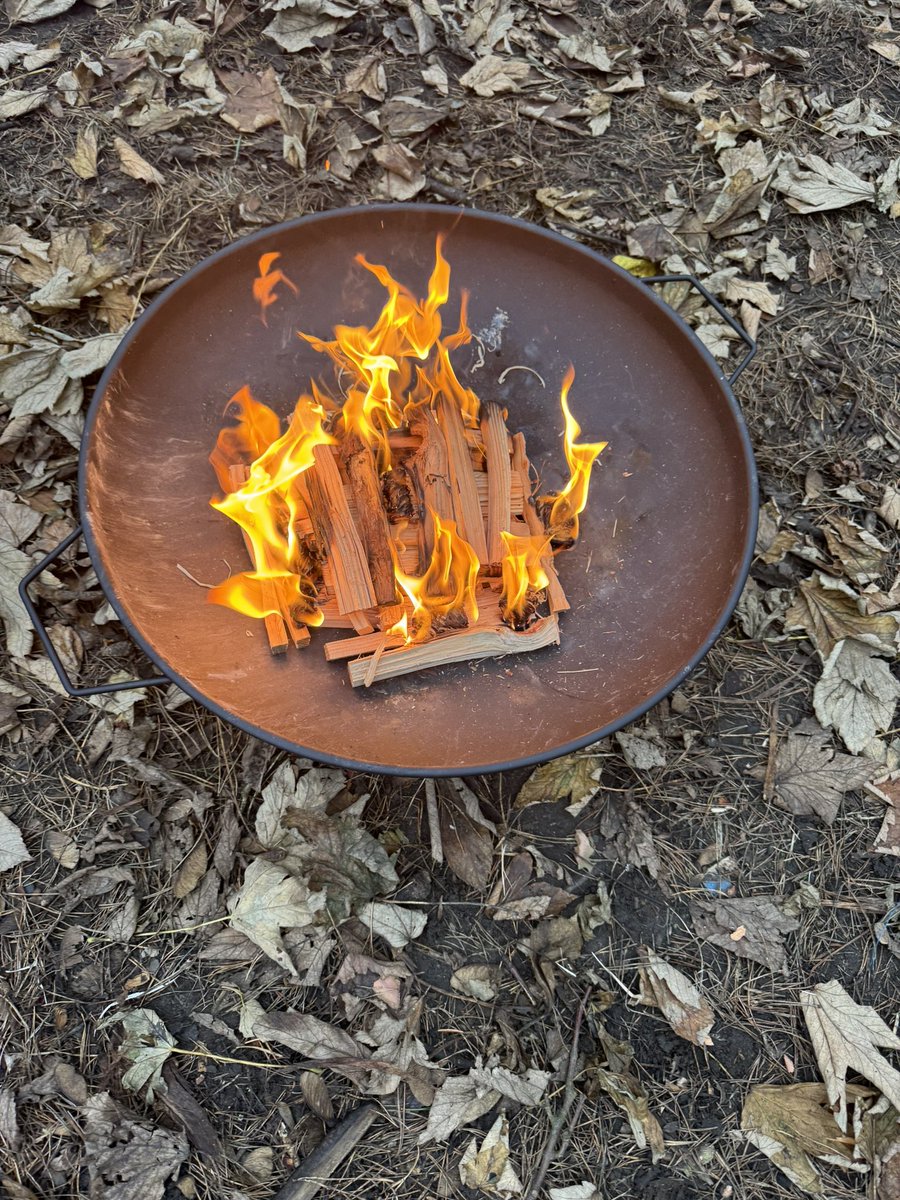 Bo'ness History tweet media