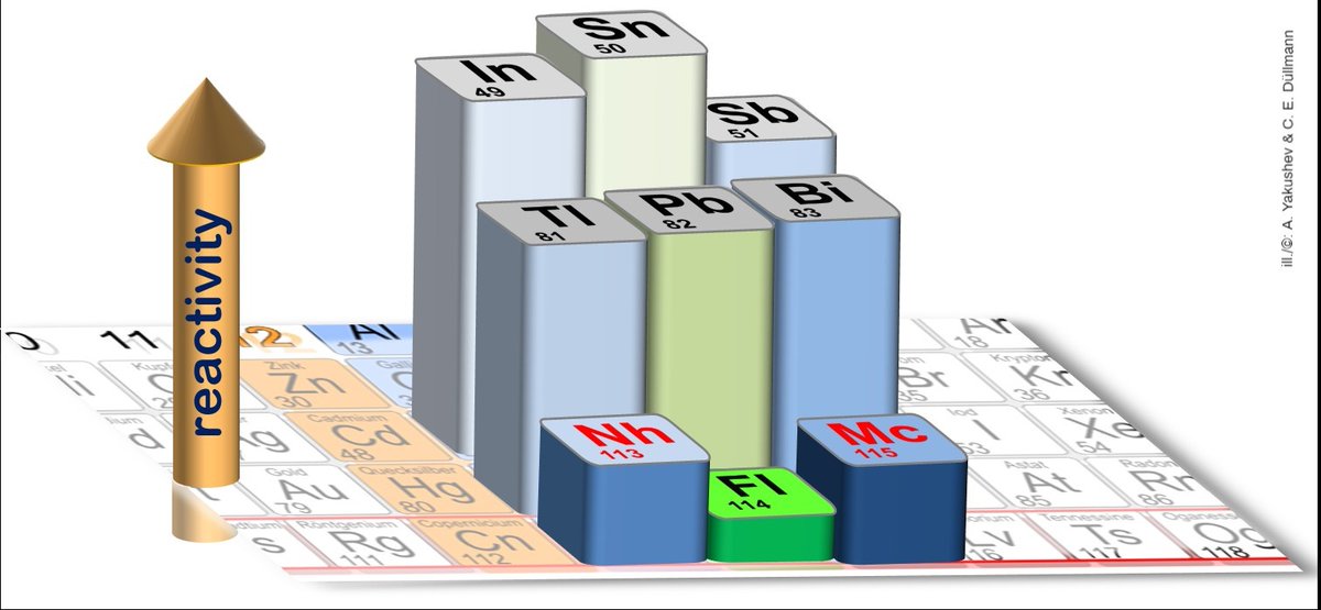 Mainz University (@uni_mainz_eng) on Twitter photo What are the chemical properties of the superheavy elements #moscovium and #nihonium? International research team led by <a href="/FAIR_GSI_de/">FAIR GSI - @FAIR_GSI_de@helmholtz.social</a>, #MainzUniversity and #HelmholtzInstituteMainz has studied very short-lived elements press.uni-mainz.de/experiments-at⦠#chemistry #PeriodicTable What are the chemical properties of the superheavy elements #moscovium and #nihonium? International research team led by <a href="/FAIR_GSI_de/">FAIR GSI - @FAIR_GSI_de@helmholtz.social</a>, #MainzUniversity and #HelmholtzInstituteMainz has studied very short-lived elements press.uni-mainz.de/experiments-at⦠#chemistry #PeriodicTable