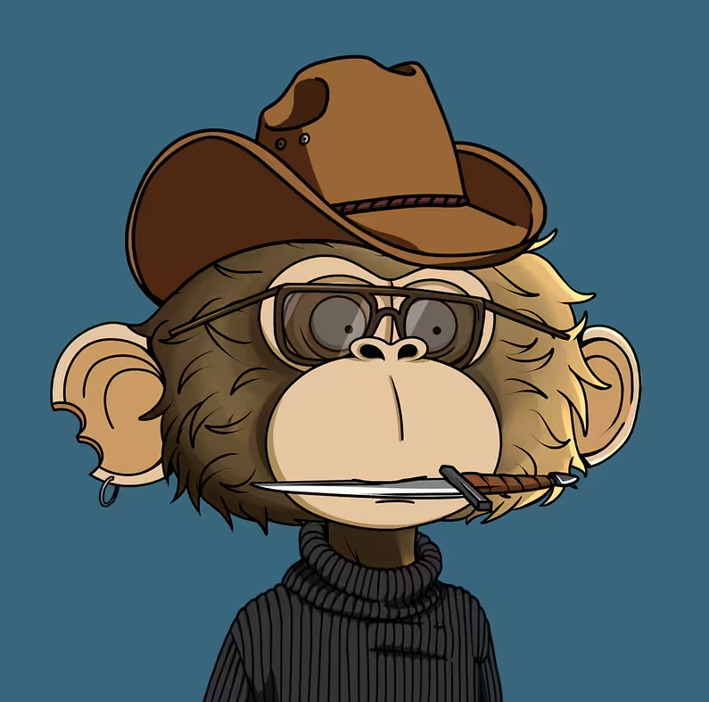 Remember Jimmy is the most successful pfp collection on apechain. This is the collection everyone new to apechain wants to own. If apechain is one of the winners this bullrun, jimmys will be worth much more than 1000! Hodl and keep vibing. We already won here.

<a href="/JimmyOnApe/">Jimmy the Rascal</a>