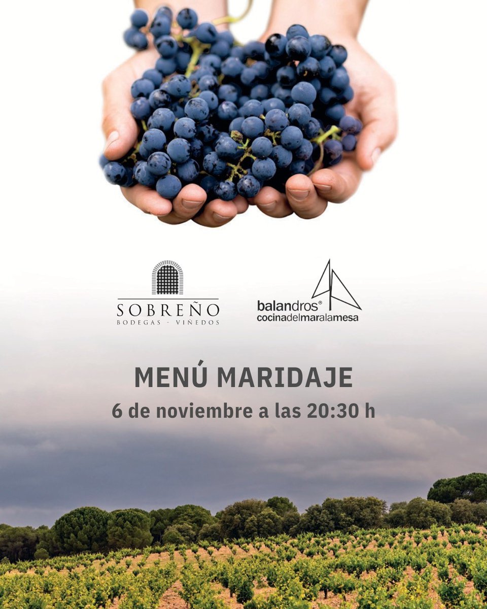 SobrenoBodegas's tweet photo. 🍷🍽️ No te pierdas mañana el Menú Maridaje que ha preparado el Restaurante Balandros de #Denia
Una cuidada selección de platos acompañados de nuestros #FincaSobreño
☎️Inscripciones en el restaurante 966290313 https://t.co/Q0f7HxC89D