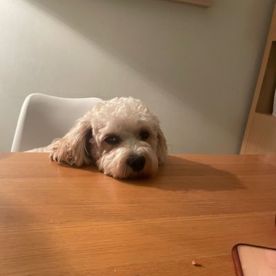 chrissyevans16's tweet photo. #NewProfilePic https://t.co/6ezRAWUk5y