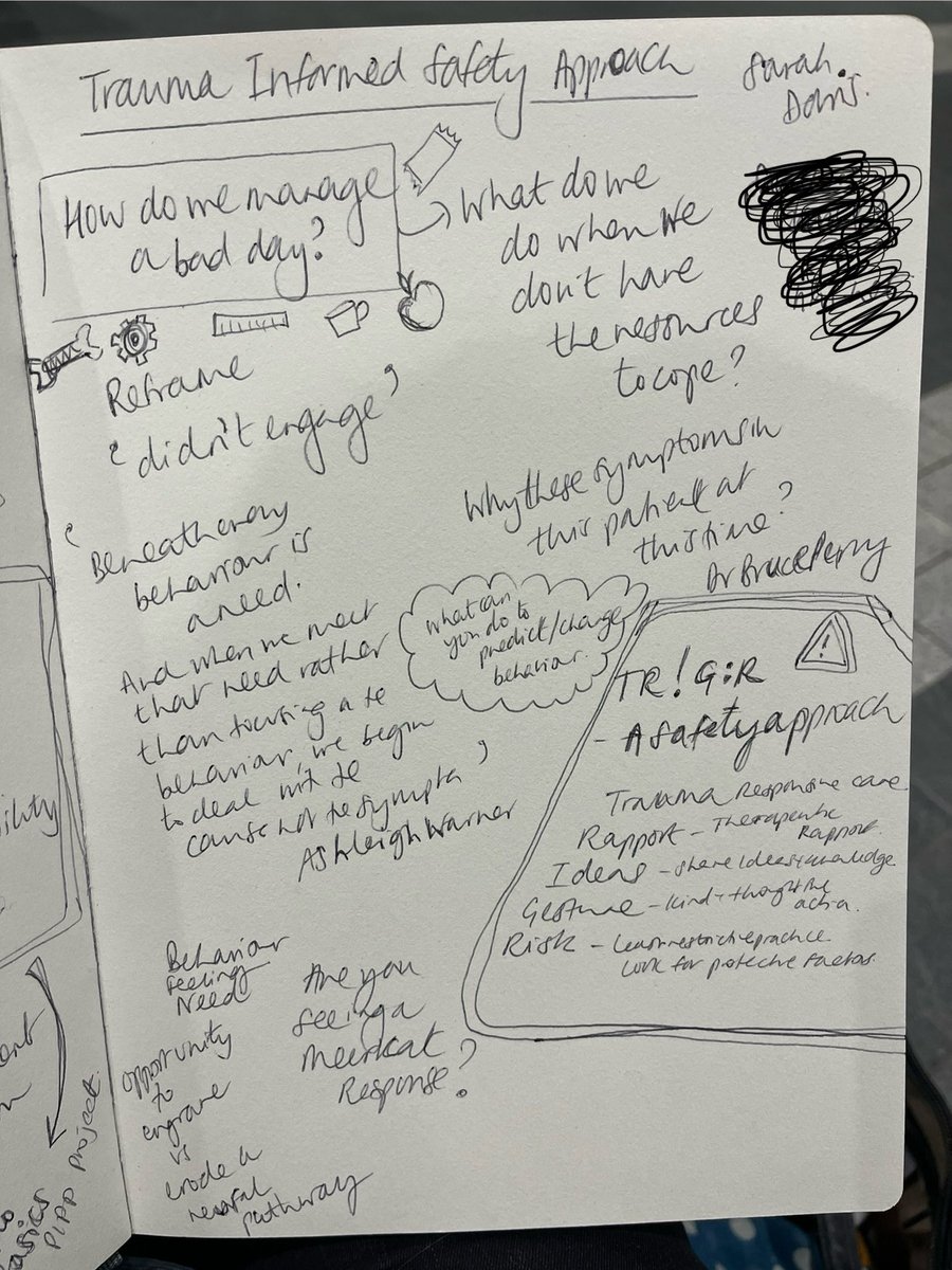 In awe of Sarah Davis and her Trauma Informed Safety approach. Really got me thinking about what we need to change to enable better environments for the YP &amp; families we see. How important it is to reframe ‘didn’t engage’. When we start to think about the need behind behaviour...