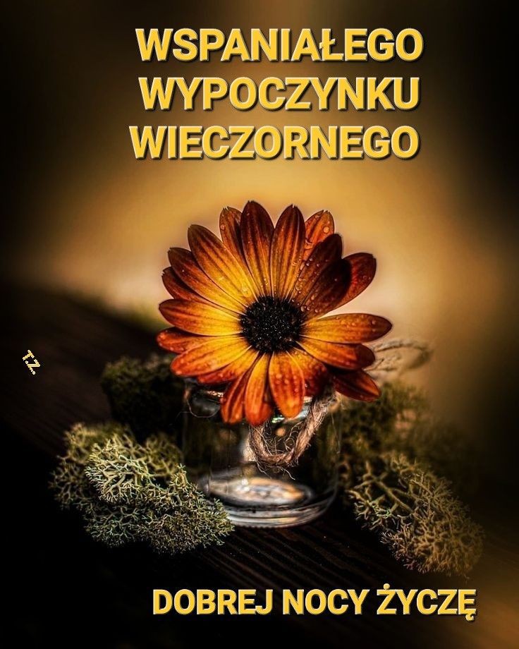 stanis_la's tweet photo. Dobrej nocki Wam Życzę Dobranoc 🌙 https://t.co/ws9YUW0w1l