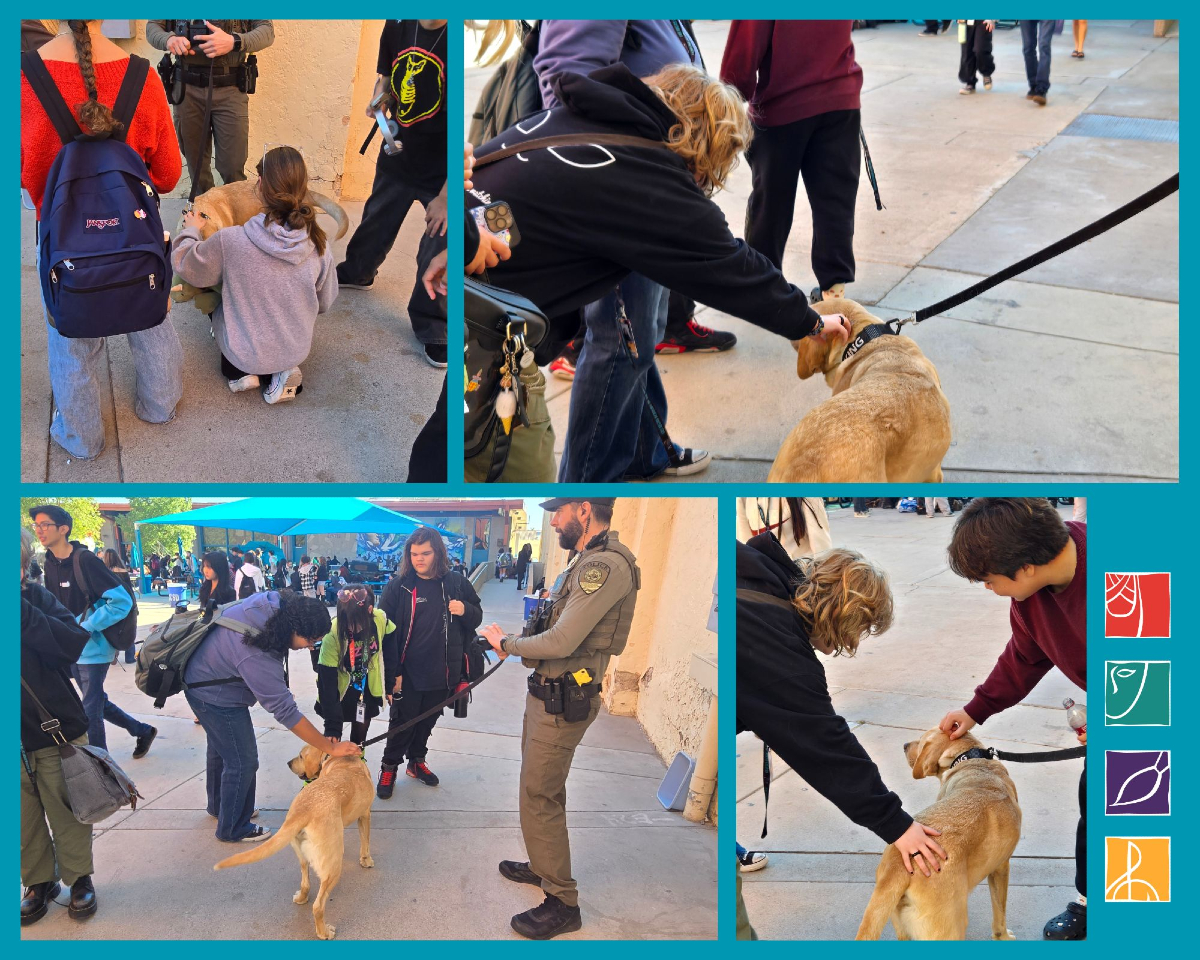 LVAhappenings's tweet photo. A favorite guest at LVA is K-9 Officer King.🦮 👮♀️Officer King and Officer Thomas drop by LVA and students rush to say hello and give friendly pats and scratches! 🐾#ccsdpd @therealofficerking #lvalunchlearn https://t.co/WacdMYum4I
