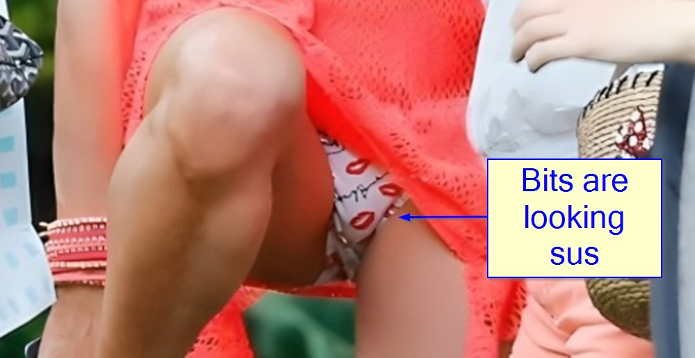 Paris Hilton "accidentally" exposed her covered snatch. Except that was no accident, just a publicity stunt. Suspicious looking bump down there 🍆 #EGI