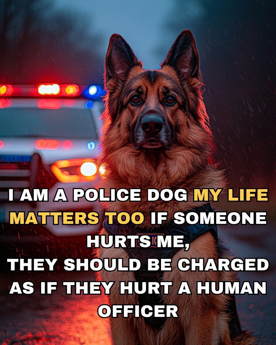 Dog Lovers tweet media