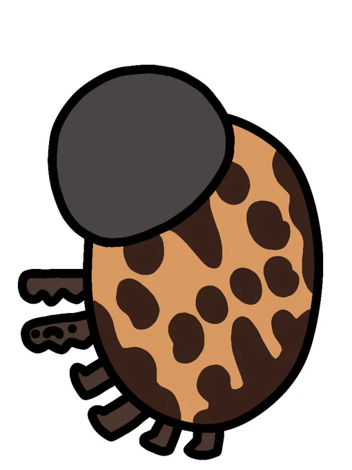 セマダラマグソコガネ 