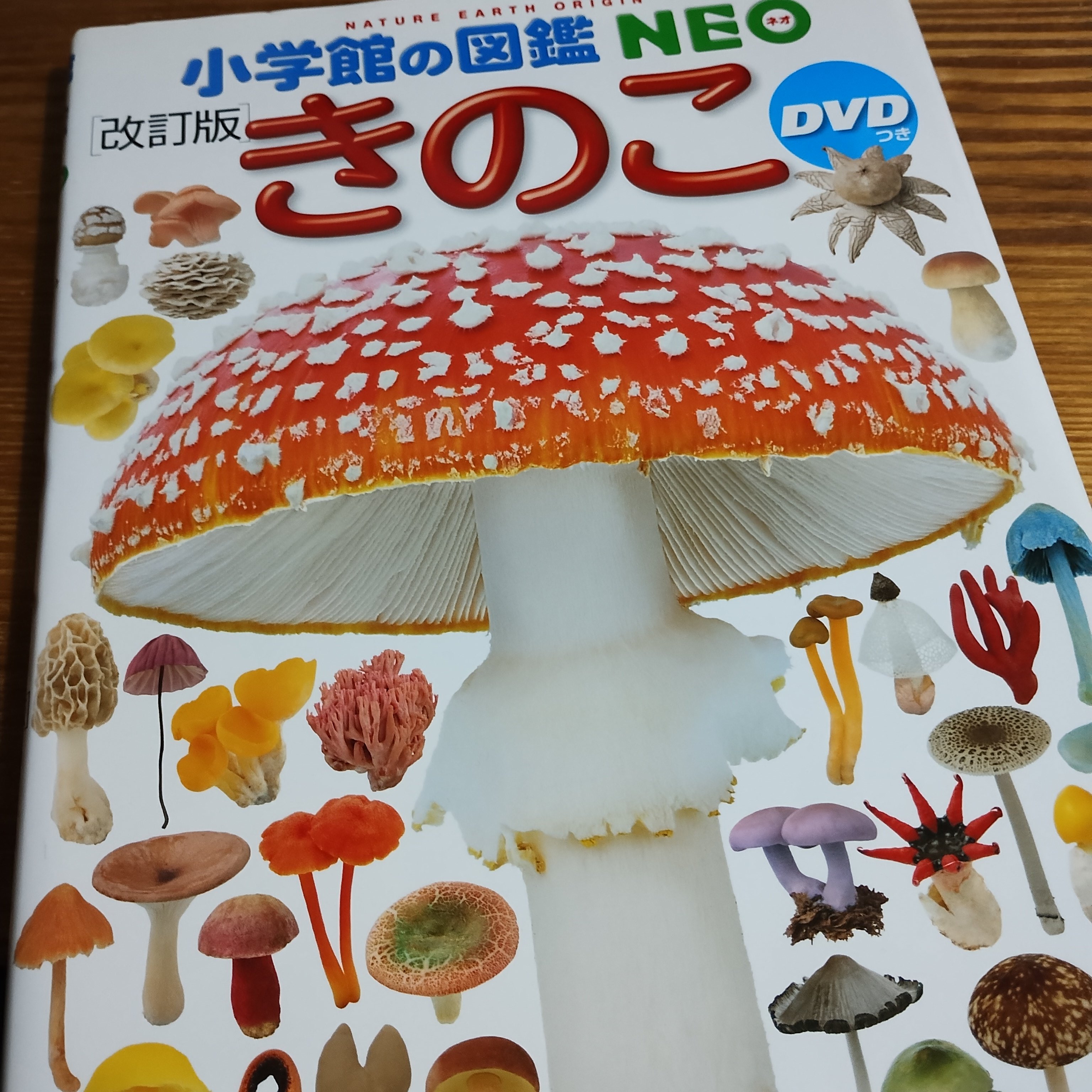 小学館の図鑑NEO 11冊まとめ売り 本 小学館の図鑑 NEO 11冊セット まとめ売り - メルカリ