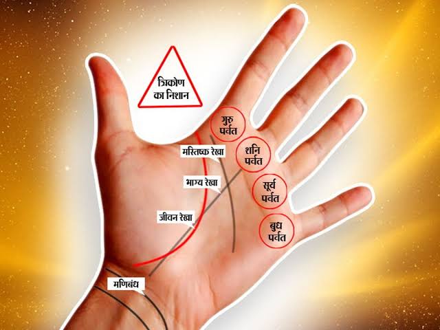 iamPJyotish's tweet photo. भाग्य रेखा मणिबंध से शुरू होकर शनि पर्वत पर आती है। यदि भाग्य रेखा से मिलकर कोई रेखा त्रिकोण का निर्माण करती है।
भाग्यशाली व्यक्तित्व की पहचान है।
#Hastrekha #PalmReading #HandReading #PalmistryGuide #PalmReadingInsights https://t.co/BIjbNdUP2N