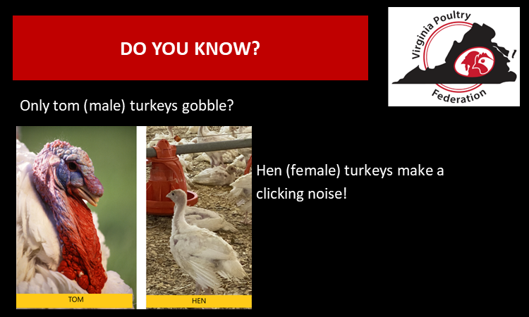 VA PoultryFederation (@virginiapoultry) on Twitter photo 
