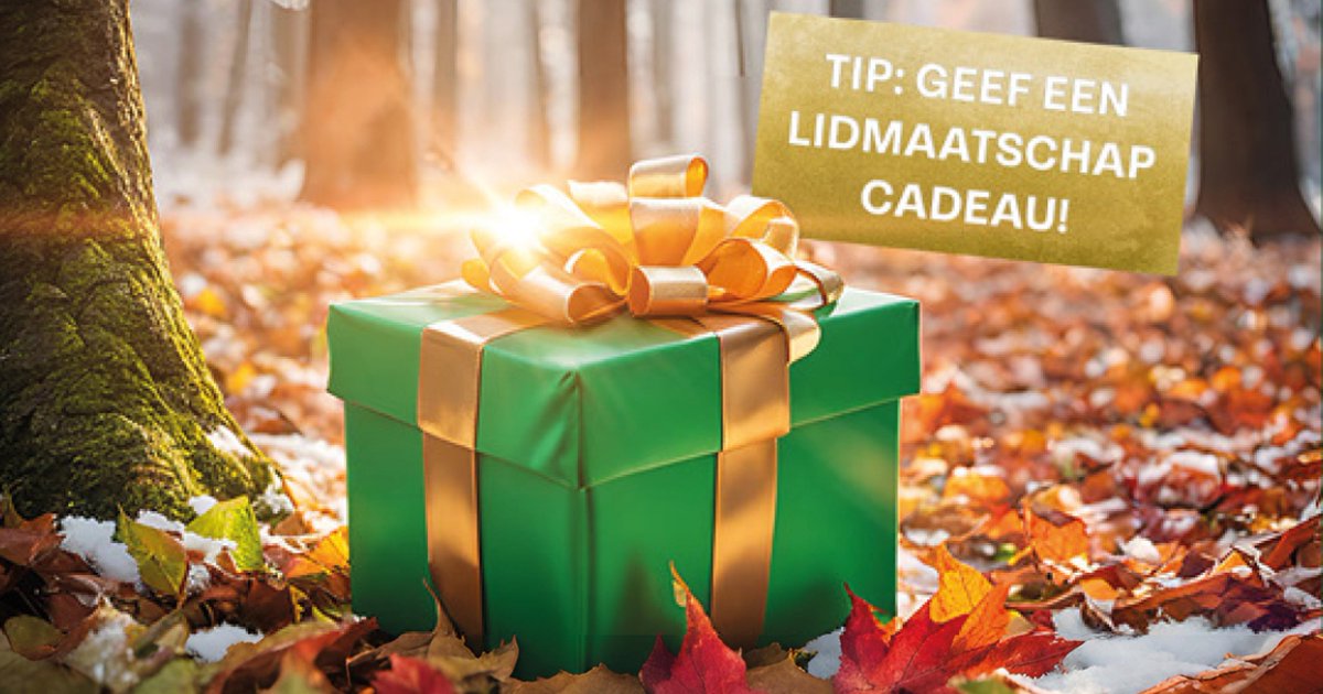 Over een maand is het #Sinterklaas... Ben je nog op zoek naar iets origineels? 🎁 Geef een lidmaatschap van It Fryske Gea! Vanaf €25 maak je een familielid, vriend of collega beschermer van natuur, landschap en erfgoed in Fryslân: itfryskegea.nl/cadeau

#cadeautip #ItFryskeGea