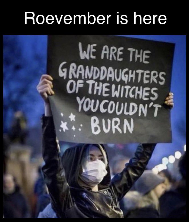 michaeljkellyjr's tweet photo. This might be my new favorite sign. 

I stand with all #women today and will fight like hell for my wife, my daughter, my sisters, &amp; my mother. 

#HarrisForPOTUS 
#Harris 
#Vote2024 

#NotGoingBack https://t.co/pxaQRmLdcM