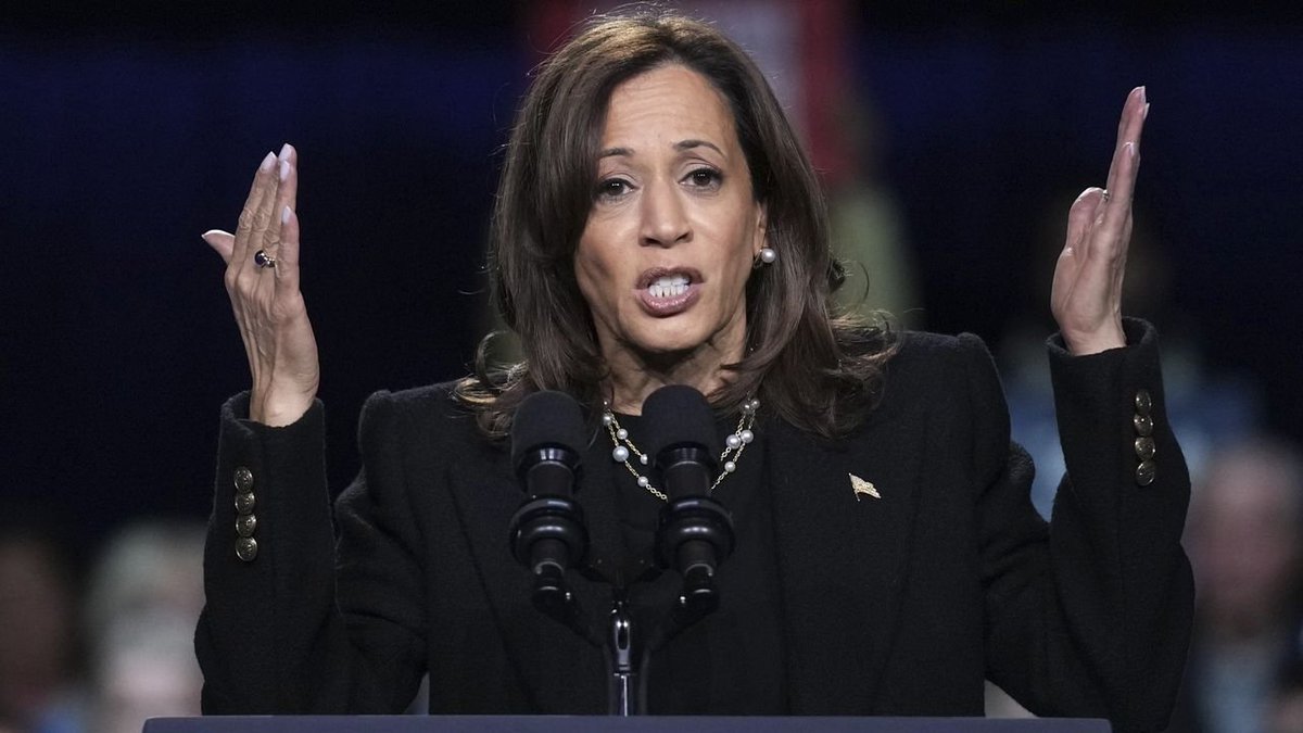 phdearl's tweet photo. #SeniorsForNormalcy;
Historians @BeschlossDC &amp; #JonMeacham Both Agree:

TODAY is Either;
"A Day of #Fools 0r A Day of Reality."

"You REAP What You Sow" 

American historians issue politically bankrupt and intellectually dishonest appeal for Kamala Harris https://t.co/7PBNthweMy https://t.co/Mts78fTZSW