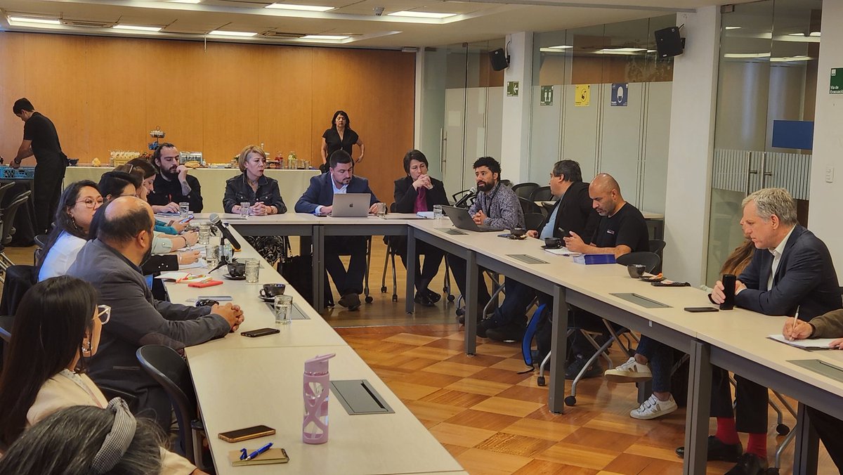 El COSOC está compuesto por 15 consejeros/as y en su última elección 55 organizaciones presentaron candidatos y 114 grupos de la sociedad civil votaron para elegir a los representantes