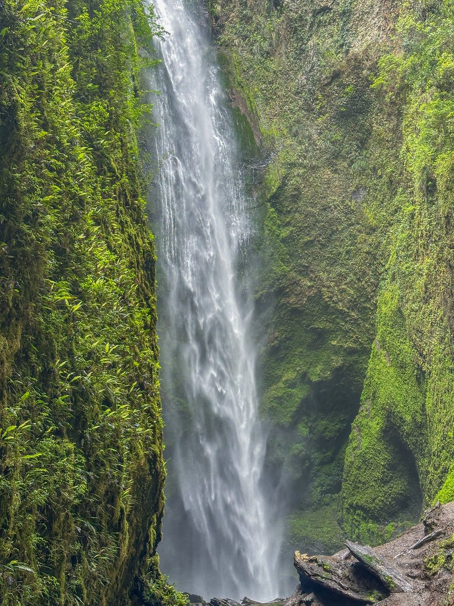 AngaritaV's tweet photo. Una maravilla escondida en Coñaripe, el salto del Mili Mili https://t.co/yvZt3x46qD