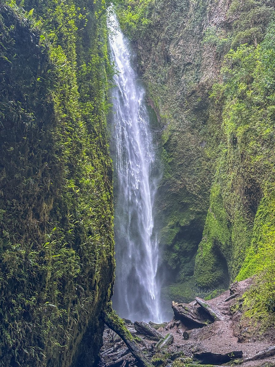 Una maravilla escondida en Coñaripe, el salto del Mili Mili