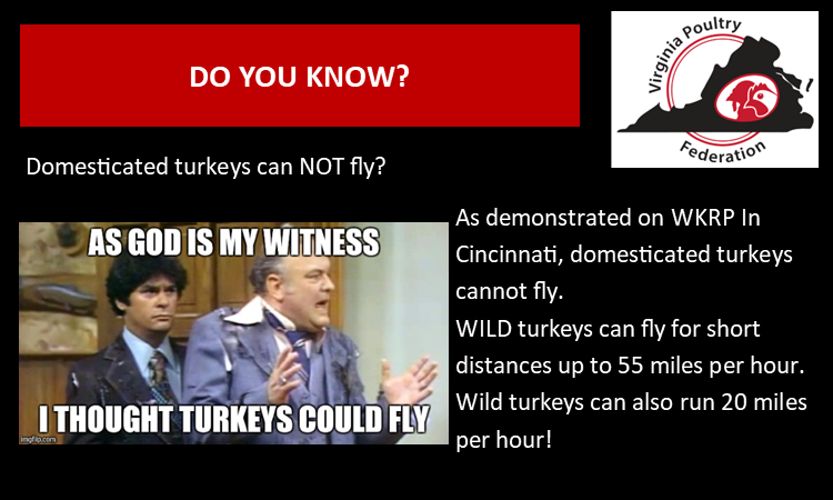 VA PoultryFederation (@virginiapoultry) on Twitter photo 